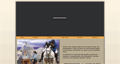 Desktop Screenshot of desertpinesequine.com